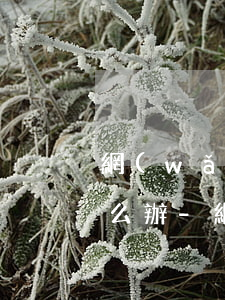 網(wǎng)貸自動扣款了還顯示逾期怎么辦-網(wǎng)貸自動扣款了還顯示逾期怎么辦呢