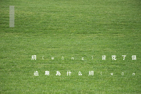 網(wǎng)貸花了但是沒有逾期(從來沒逾期為什么網(wǎng)貸過不了)