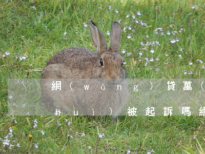 網(wǎng)貸萬(wàn)元逾期會(huì)被起訴嗎(網(wǎng)貸逾期一萬(wàn)多會(huì)起訴嗎?)
