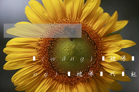 網(wǎng)貸被保險代償起訴(網(wǎng)貸被保險代償起訴怎么辦)