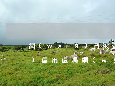 網(wǎng)貸被查封欠的錢(qián)還用還嗎(網(wǎng)貸被查封欠的錢(qián)還用還嗎)