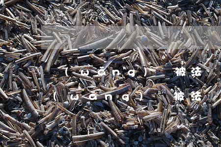 網(wǎng)貸被法務(wù)通知-網(wǎng)貸被法務(wù)通知短信