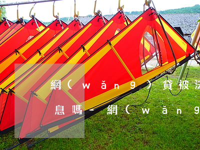 網(wǎng)貸被法院起訴了可以減免利息嗎-網(wǎng)貸被法院起訴了可以減免利息嗎知乎