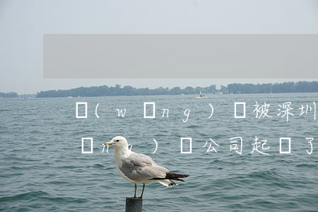 網(wǎng)貸被深圳公司起訴 被網(wǎng)貸公司起訴了會(huì)不會(huì)坐牢