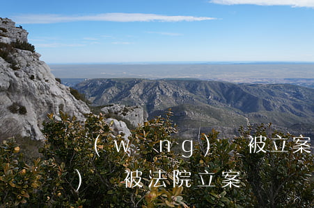 網(wǎng)貸被立案起訴(網(wǎng)貸被法院立案)
