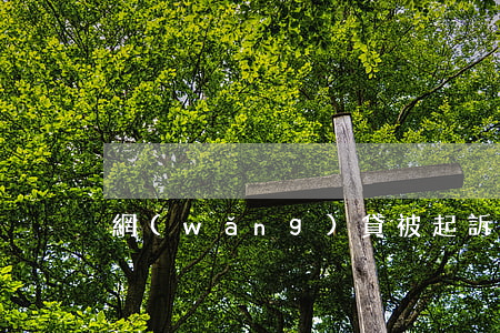 網(wǎng)貸被起訴不理