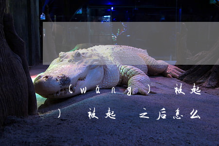 網(wǎng)貸被起訴之后(網(wǎng)貸被起訴之后怎么協(xié)商)
