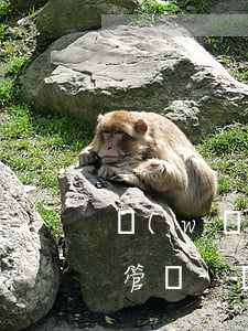 網(wǎng)貸被起訴了也沒錢還需要去管嗎-網(wǎng)貸被起訴后沒錢還怎么辦
