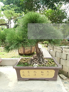 網(wǎng)貸被起訴了可以申請只還本金嗎-網(wǎng)貸被起訴了可以申請只還本金嗎