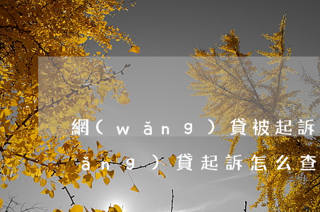 網(wǎng)貸被起訴了哪里查(被網(wǎng)貸起訴怎么查詢)