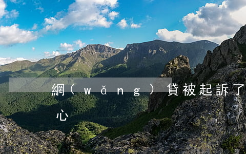 網(wǎng)貸被起訴了很擔(dān)心