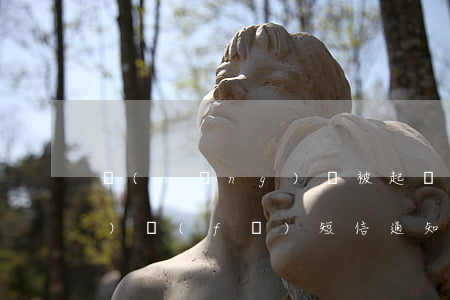 網(wǎng)貸被起訴了法院會(huì)發(fā)短信通知嗎-網(wǎng)貸被起訴了法院會(huì)發(fā)短信通知嗎怎么辦