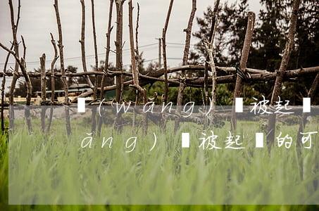 網(wǎng)貸被起訴了算案底嗎(網(wǎng)貸被起訴的可能性大嗎)