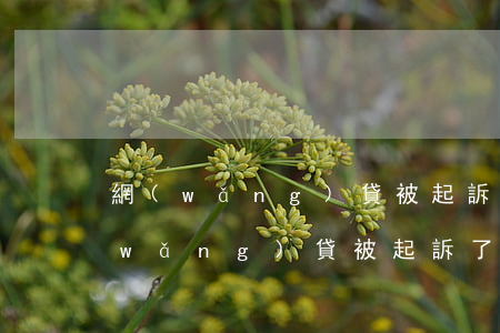 網(wǎng)貸被起訴了還利息不-網(wǎng)貸被起訴了利息不合法怎么辦