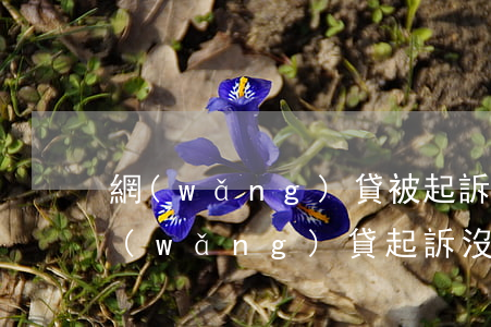 網(wǎng)貸被起訴傳票會寄到哪里（網(wǎng)貸起訴沒收到傳票）