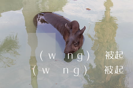 網(wǎng)貸被起訴協(xié)查(網(wǎng)貸被起訴怎么查)