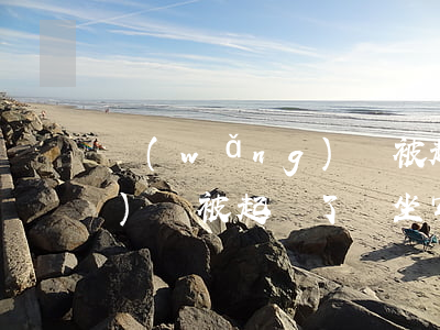 網(wǎng)貸被起訴后果（網(wǎng)貸被起訴了會坐牢不）