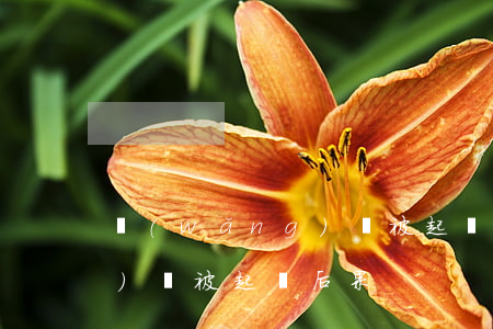 網(wǎng)貸被起訴后果(網(wǎng)貸被起訴后果)
