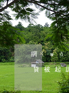 網(wǎng)貸被起訴后（網(wǎng)貸被起訴影響工作嗎）