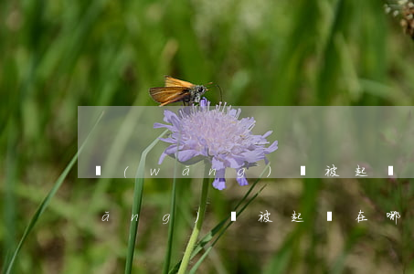 網(wǎng)貸被起訴在哪個法院(網(wǎng)貸被起訴在哪個法院)