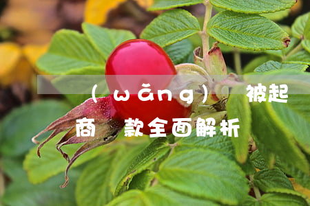 網(wǎng)貸被起訴如何協(xié)商還款：全面解析與實踐指南