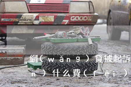 網(wǎng)貸被起訴我需要承擔(dān)什么費(fèi)用-網(wǎng)貸被起訴我需要承擔(dān)什么費(fèi)用