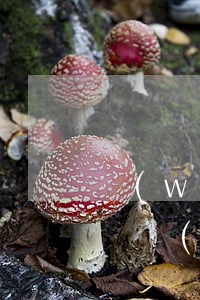 網(wǎng)貸被起訴會(huì)通知嗎(網(wǎng)貸被起訴會(huì)通知嗎)