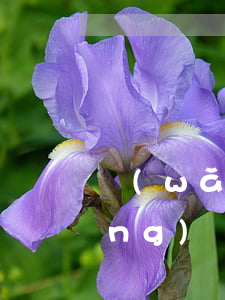 網(wǎng)貸被起訴會拘留嗎(網(wǎng)貸被起訴會拘留嗎)