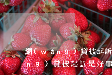 網(wǎng)貸被起訴有好處嗎(網(wǎng)貸被起訴是好事)