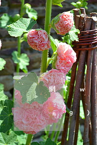 網(wǎng)貸被起訴有記錄嗎(網(wǎng)貸被起訴后會(huì)被拘留嗎)