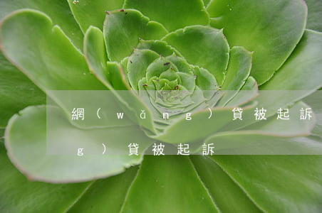 網(wǎng)貸被起訴朋友(借網(wǎng)貸被起訴)