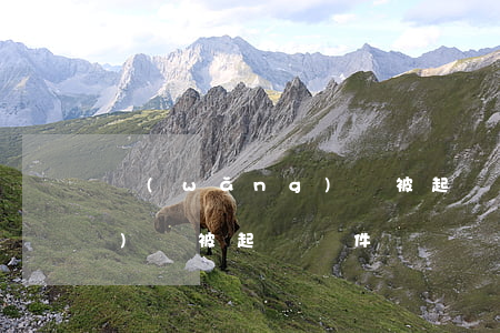 網(wǎng)貸被起訴條件(網(wǎng)貸被起訴條件)