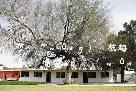 網(wǎng)貸被起訴沒(méi)收到傳票怎么辦（網(wǎng)貸被起訴沒(méi)收到傳票）