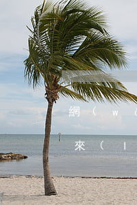 網(wǎng)貸被起訴由誰(shuí)來(lái)通知 網(wǎng)貸被起訴的流程是什么樣的