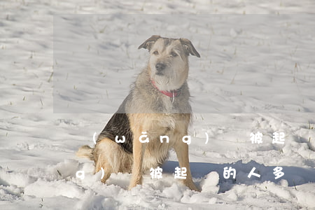 網(wǎng)貸被起訴的人-網(wǎng)貸被起訴的人多嗎