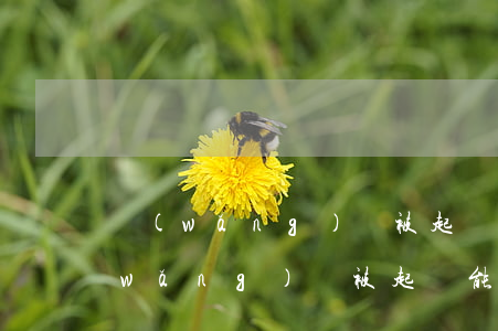 網(wǎng)貸被起訴的可能性大嗎（網(wǎng)貸被起訴能打贏嗎）