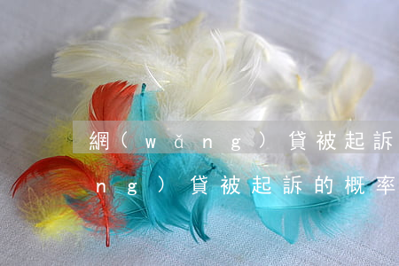 網(wǎng)貸被起訴的可能性(網(wǎng)貸被起訴的概率有多大)
