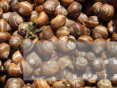 網(wǎng)貸被起訴的律師費(被網(wǎng)貸起訴了需要支付對方律師費嗎)