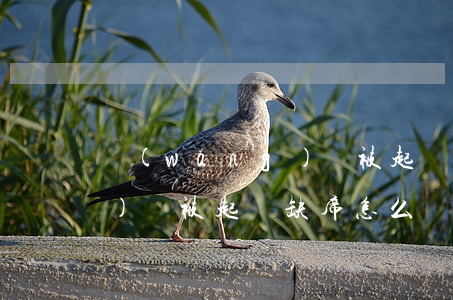 網(wǎng)貸被起訴缺席(網(wǎng)貸被起訴缺席怎么辦)