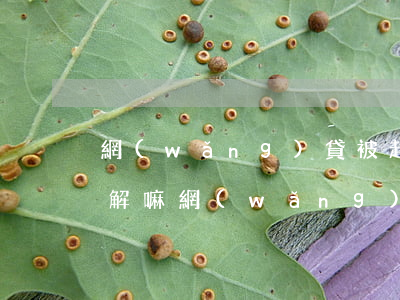 網(wǎng)貸被起訴能調(diào)解嘛(網(wǎng)貸被起訴法院會(huì)調(diào)解嗎)