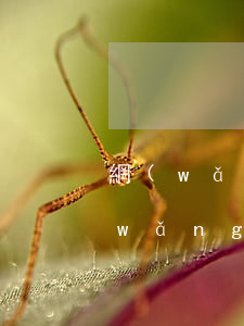 網(wǎng)貸被起訴要去異地-被網(wǎng)貸起訴在異地開庭怎么辦