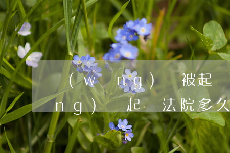 網(wǎng)貸被起訴要多久（被網(wǎng)貸起訴法院多久會通知）