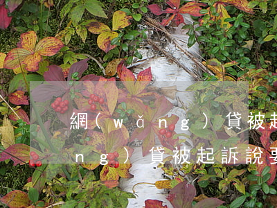 網(wǎng)貸被起訴說要取證（網(wǎng)貸被起訴說要取證）
