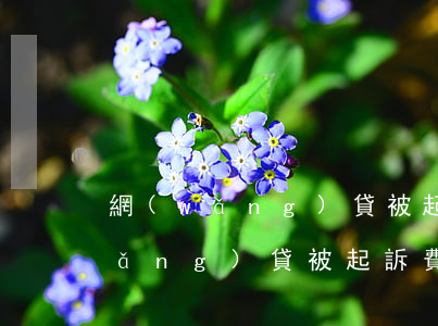 網(wǎng)貸被起訴費誰給呢-網(wǎng)貸被起訴費誰給呢怎么查
