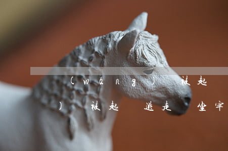 網(wǎng)貸被起訴逃走(網(wǎng)貸被起訴逃走會坐牢嗎)