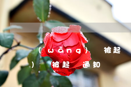 網(wǎng)貸被起訴通知(網(wǎng)貸被起訴通知)