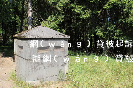 網(wǎng)貸被起訴還是沒錢還款怎么辦（網(wǎng)貸被起訴還是沒錢還）