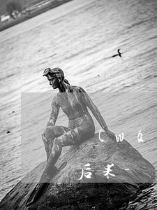 網(wǎng)貸被起訴開庭不去會有什么后果-網(wǎng)貸被起訴開庭不去會有什么后果嗎
