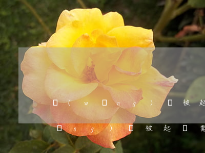 網(wǎng)貸被起訴需要還多少(網(wǎng)貸被起訴需要還多少)