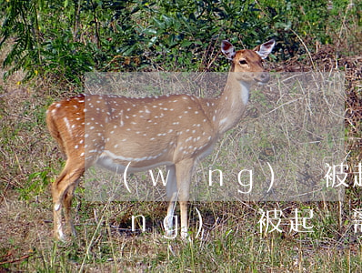 網(wǎng)貸被起訴需要陪同嗎 網(wǎng)貸被起訴需要準備什么